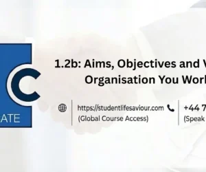 1.2b: Aims, Objectives and Values of Organisation You Work In
