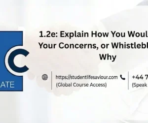 1.2e: Explain How You Would Raise Your Concerns, or Whistleblow and Why