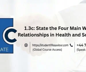 1.3c: State the Four Main Working Relationships in Health and Social Care