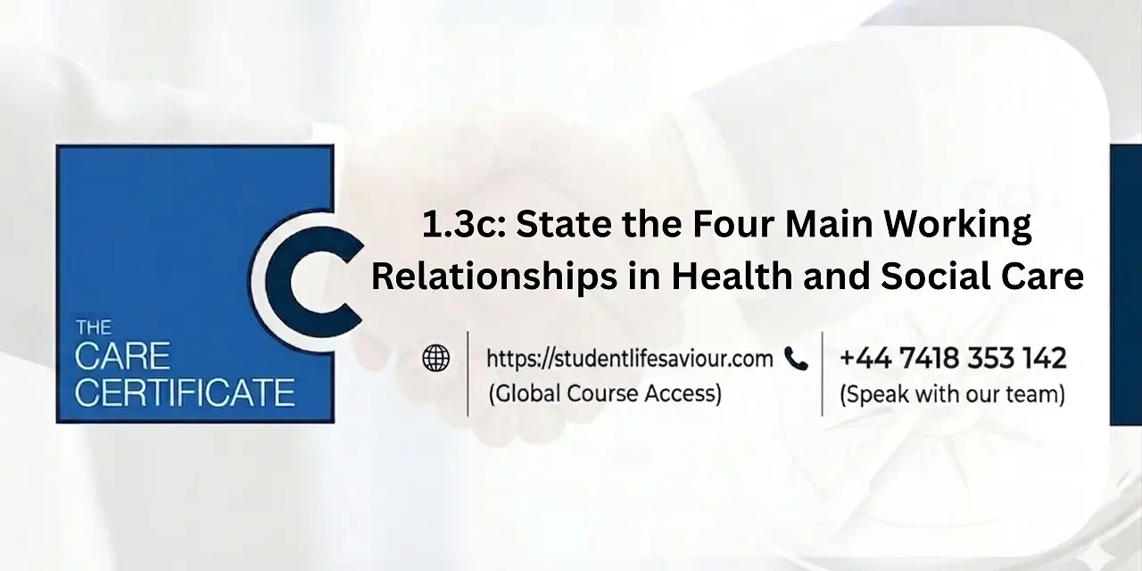 1.3c: State the Four Main Working Relationships in Health and Social Care