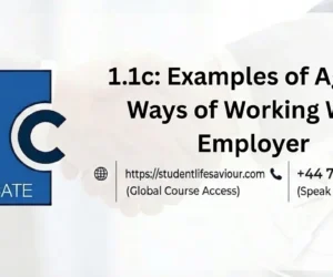 1.1c: Examples of Agreed Ways of Working With Employer