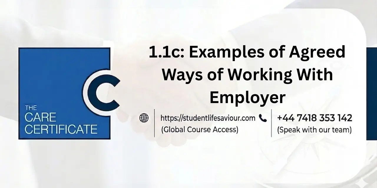 1.1c: Examples of Agreed Ways of Working With Employer