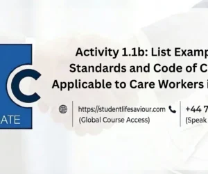 Activity 1.1b: List Examples of Standards and Code of Conduct Applicable to Care Workers in England